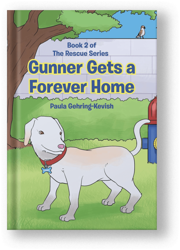 Gunner Gets a Forever Home